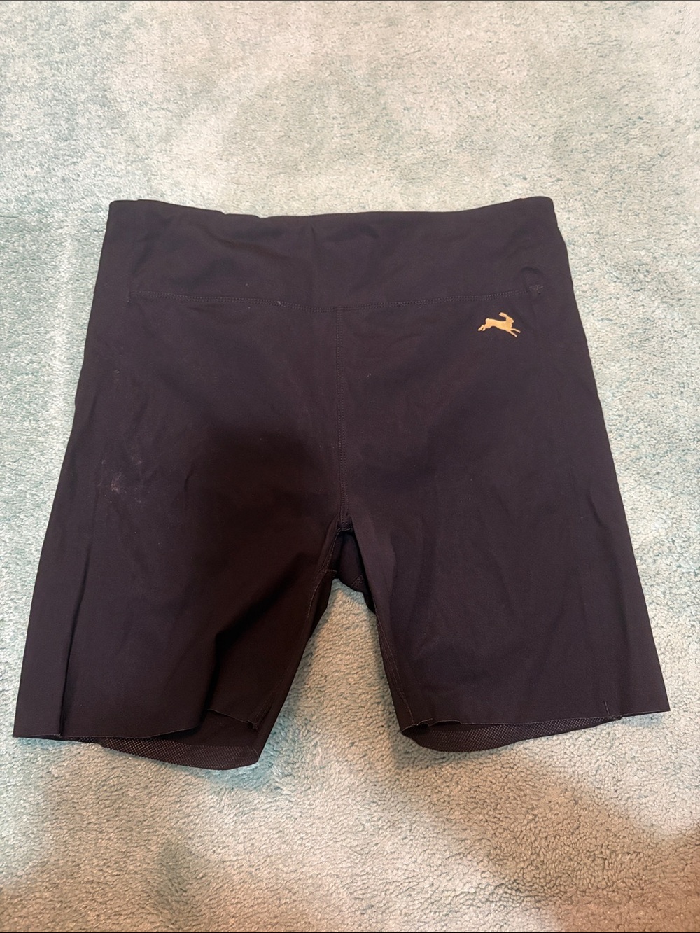 Tracksmith Allston Shorts